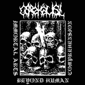 Immortal Arts Beyond Human Comprehension