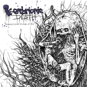 Regurgitated Streams of Rot