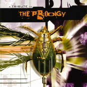 Tribute To The Prodigy