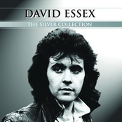 The First Cut Is The Deepest by David Essex