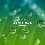 Jamendo: Zenitude