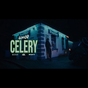 CELERY - Single