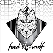 Cedars & Crows: Feed the Wolf