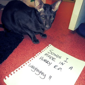 Songs I Made In a Hurry EP