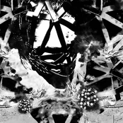 Rudis / Phyllomedusa