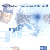 View Of A Loser From On Top Of The World