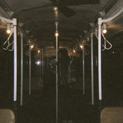 my sleep schedule is an endangered animal species