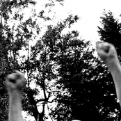 Live at Lollygagger Session II in Dorchester, MA 2000.12.16