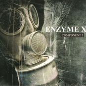Bells by Enzyme X