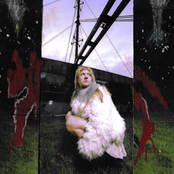 Bright Things I Found In The Dark