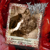 Suppuration Of Putrefied Liquids In Necrotic Tissues