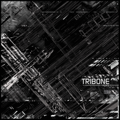 Tribone: Vagary