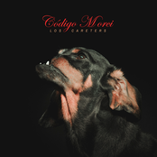 Código Morci