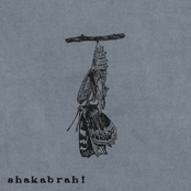 shakabrah!