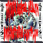 Catchier Than AIDS Split