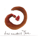 Simon Llewelyn Evans