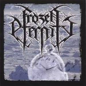 Frozen Heart by Frozen Eternity