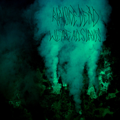 We Are All Slaves split