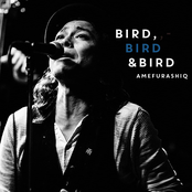 BIRD,BIRD&BIRD