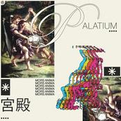 palatium