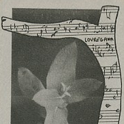 Lovregana - Music From A Tasmanian Forest