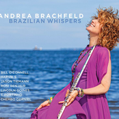 Andrea Brachfeld: Brazilian Whispers