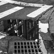 Open City: City of Ash