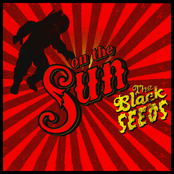 You Get Me by The Black Seeds