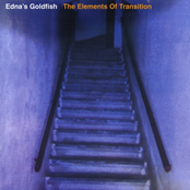 The Elements Of Transition