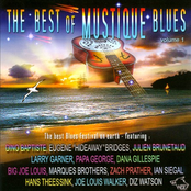 Best Of Mustique Blues