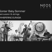 gunter baby sommer percussion and strings