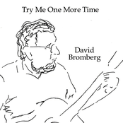 Lonesome Roving Wolves by David Bromberg