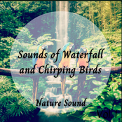 Nature Sound: Sounds of Waterfall and Chirping Birds Vol. 1