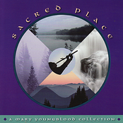 Sacred Place: A Mary Youngblood Collection