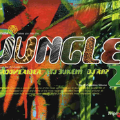 Fantazia Takes You Into The Jungle Mixed By LTJ Bukem