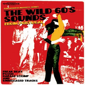Portuguese Nuggets Vol. 4, The Wild 60's Sounds from Portugal