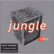 Jungle Vibes