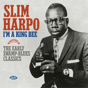 the best of slim harpo