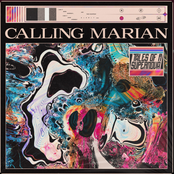 Tales of a Supernova