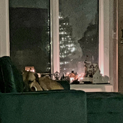 All the Lights You See Are Planes