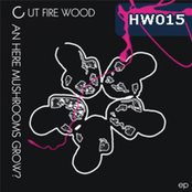 Can Here Mushroms Grow ep