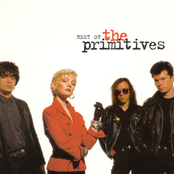 Best Of The Primitives