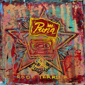 Puna.nl Presents Rode Terreur