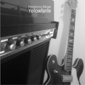 Yellowfante 2008