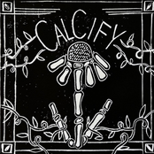 Calcify