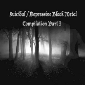 Suicidal/ Depressive Black metal - Compilation part I