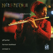 Nicole Mitchell: Awakening