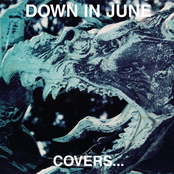 Fields Of Rape by Down In June