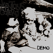 Demo