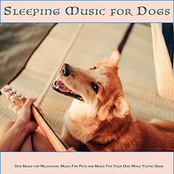 Sleeping Music For Dogs: Dog Music for Relaxation, Music For Pets and Music For Your Dog While You're Gone